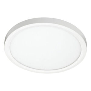 16 inch WiFi RGBCW LED Flush Mount Light Double Ring Brushed 